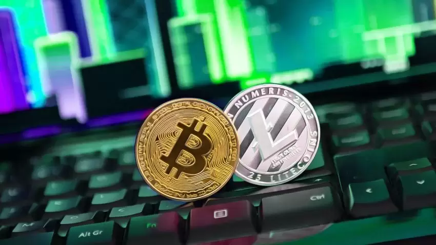 警惕！虚假项目层出不穷，投资者需加强识别能力