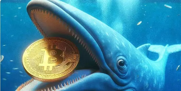 专家建议：加密货币交易中的风险管理策略